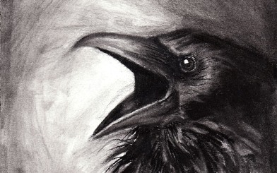 Raven 